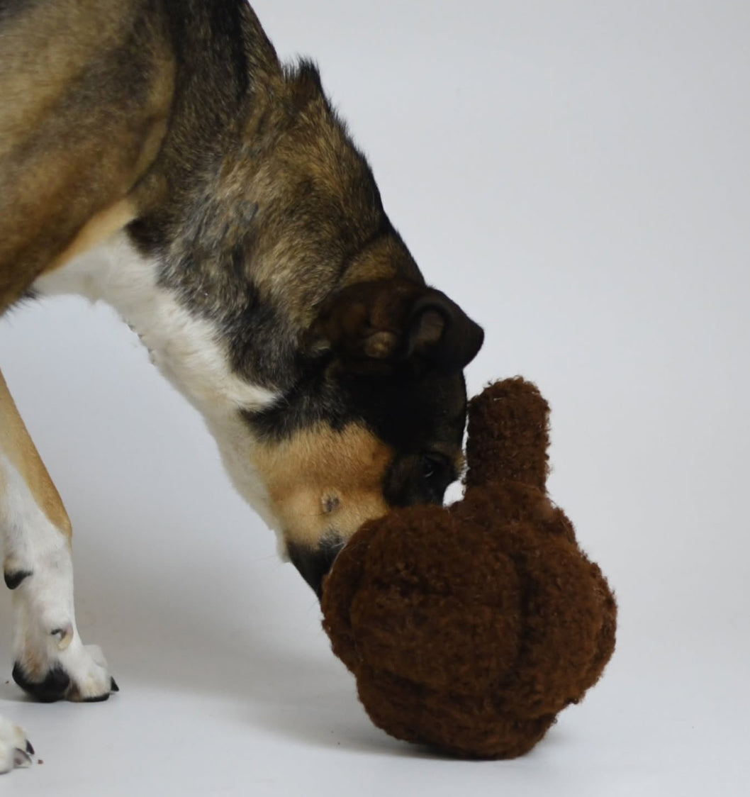 Balle de fouille | Teddy chocolat