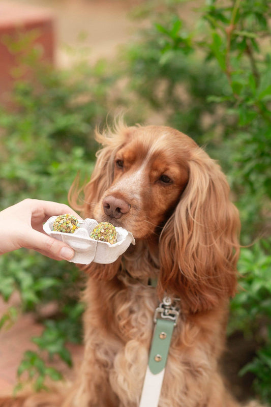 Friandises Œuf de Pâques