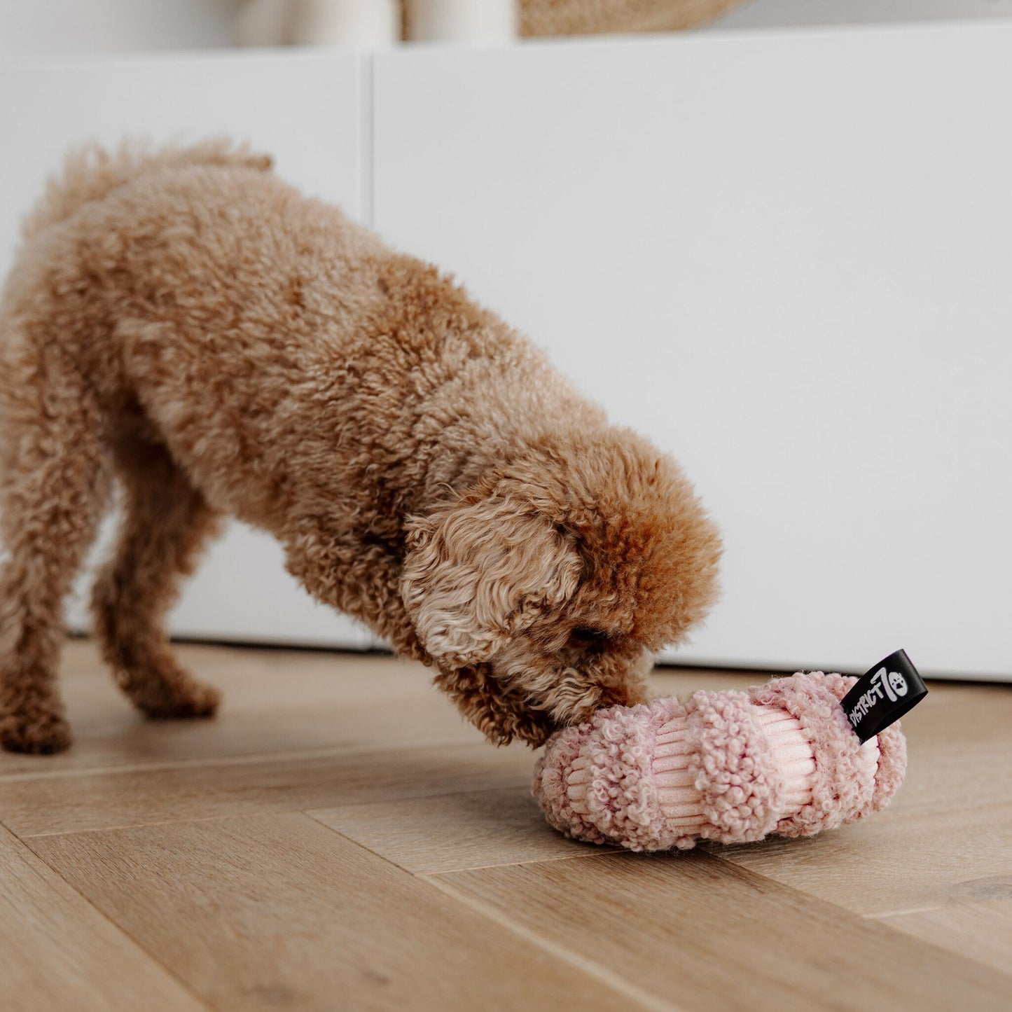 Jouet de fouille| Daisy rose