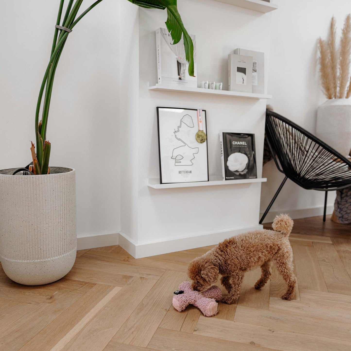 Jouet | ZIGGY rose