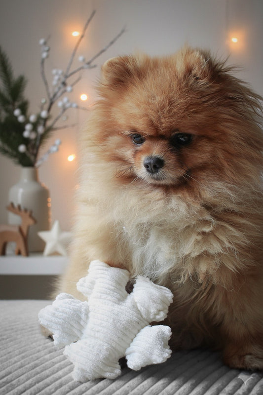 Jouet Flocon | Velours Côtelé