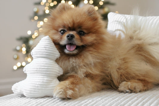 Jouet Sapin Blanc┃Velours Côtelé