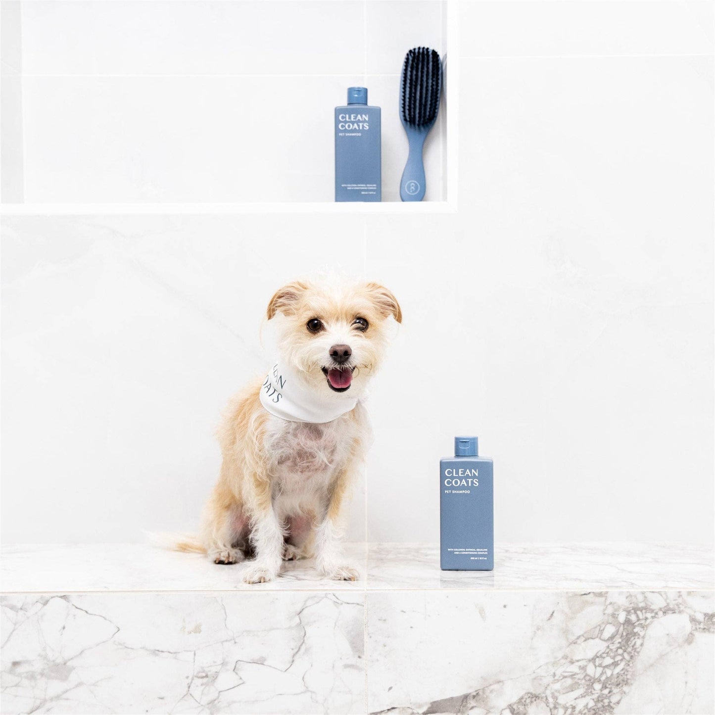 Shampooing | 2 en 1