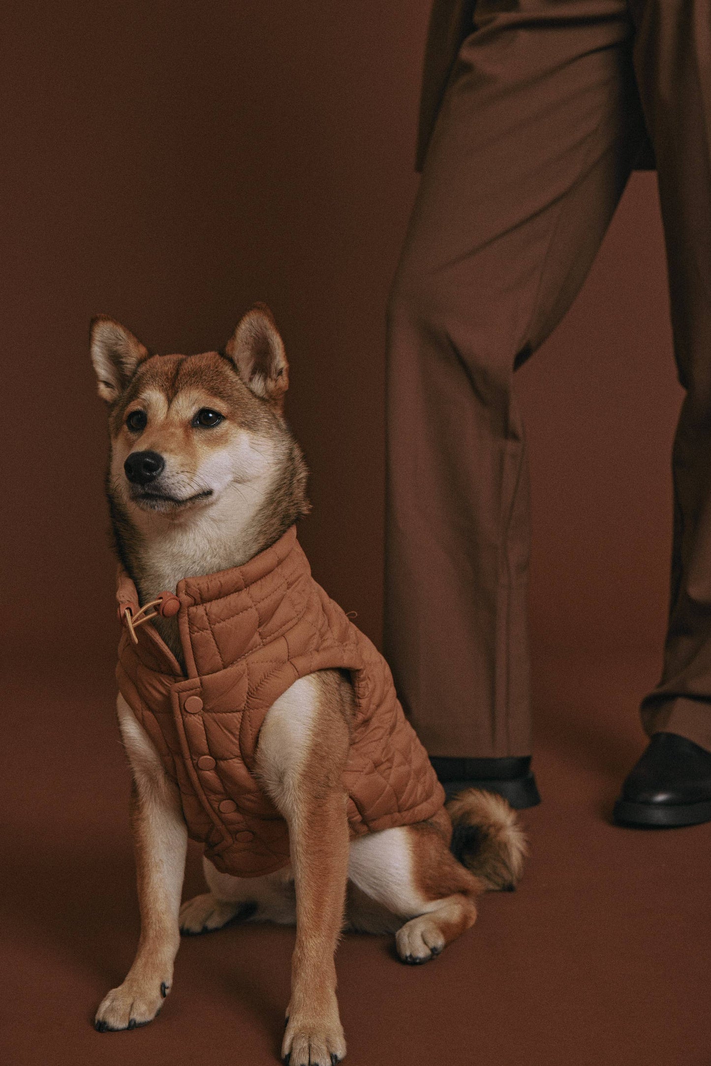 Veste pour chien Easy Fit | Vert