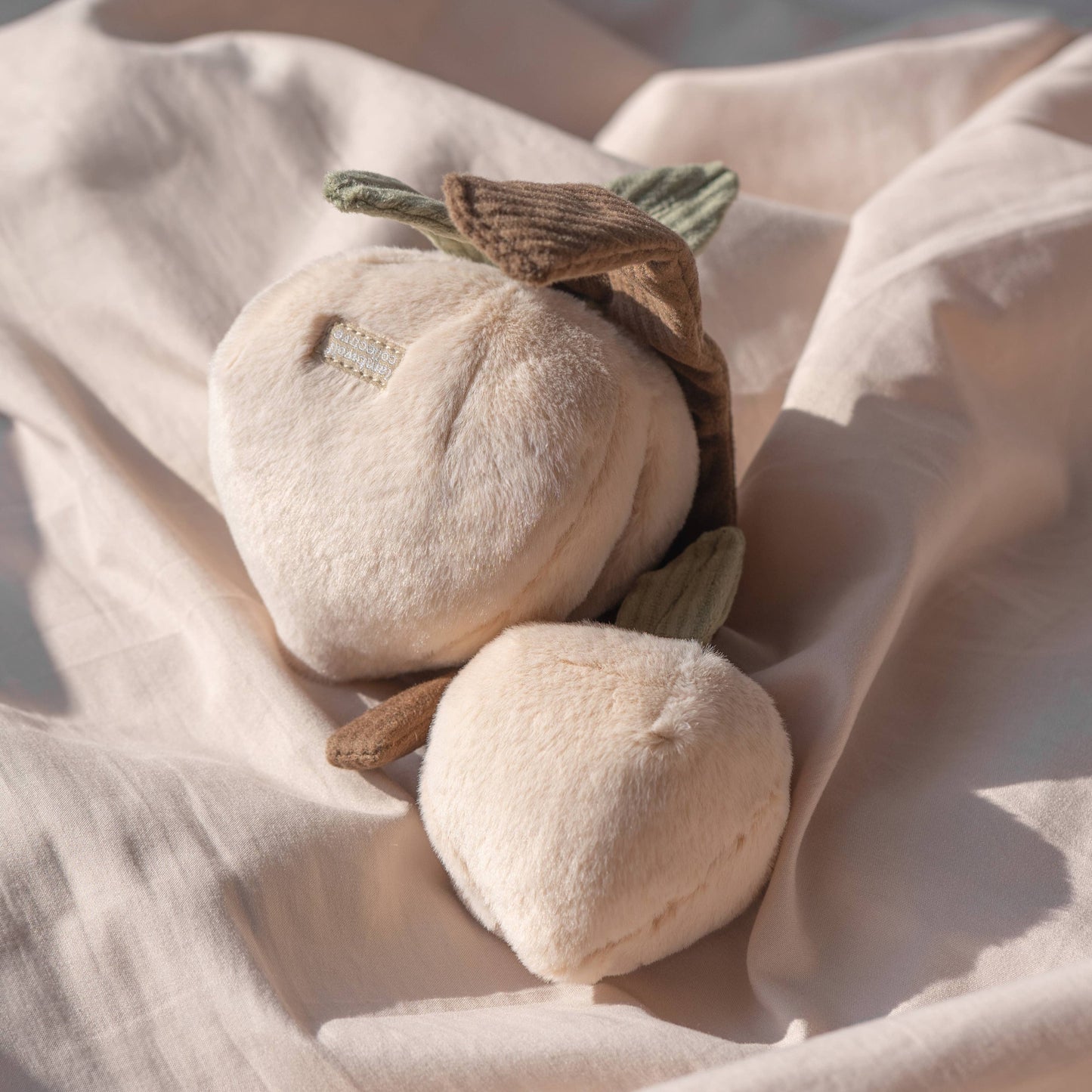 Jouet de fouille | MOMO