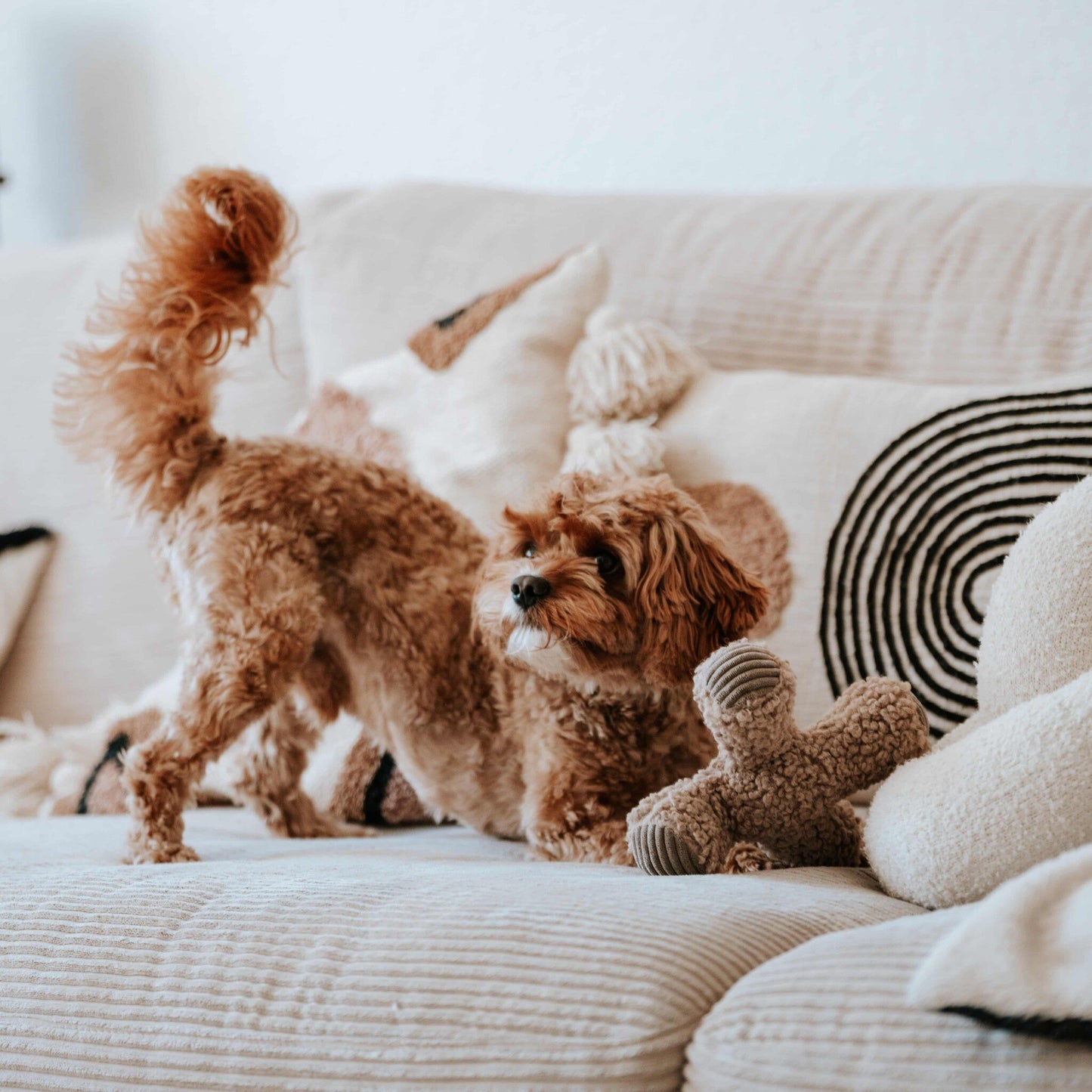Jouet | ZIGGY Taupe