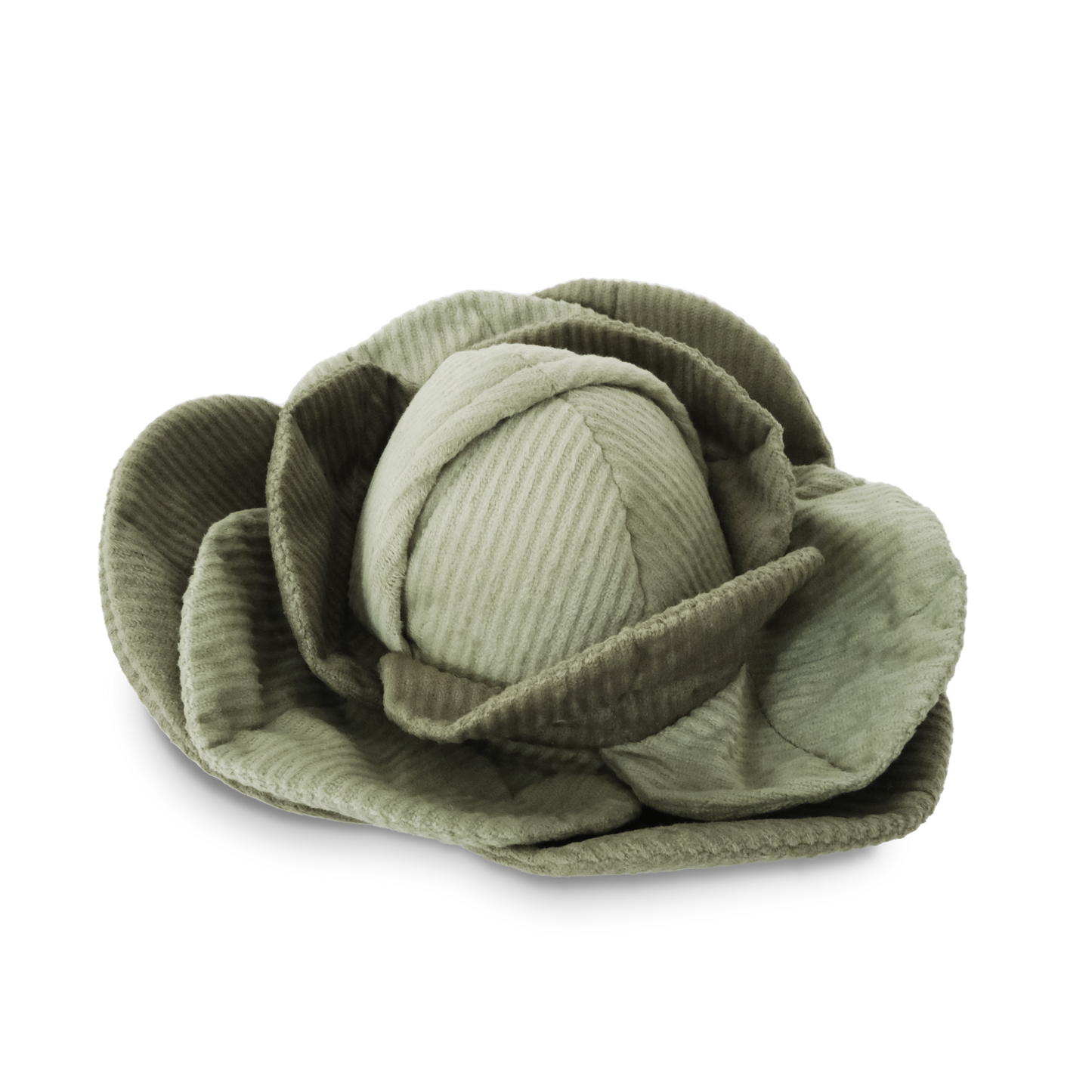 Jouet de fouille | Chou