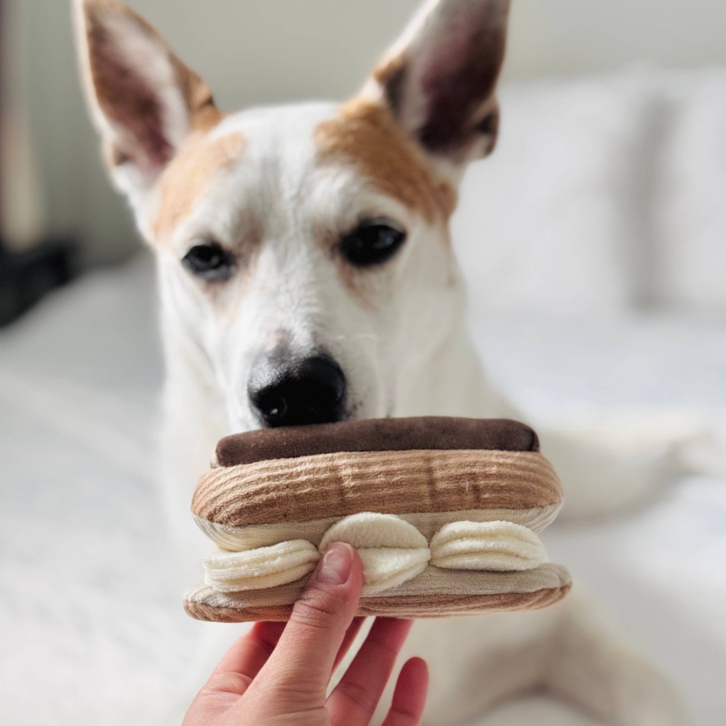 Jouet de fouille | Éclair
