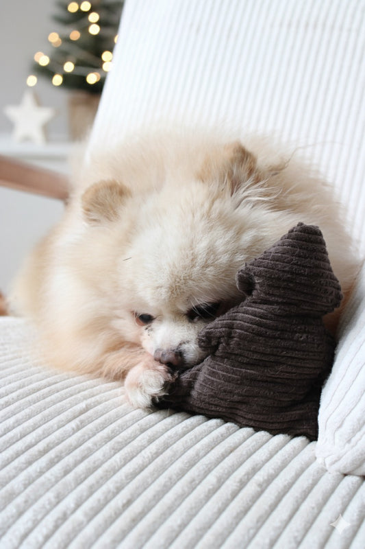 Jouet Sapin Marron┃ Velours Côtelé