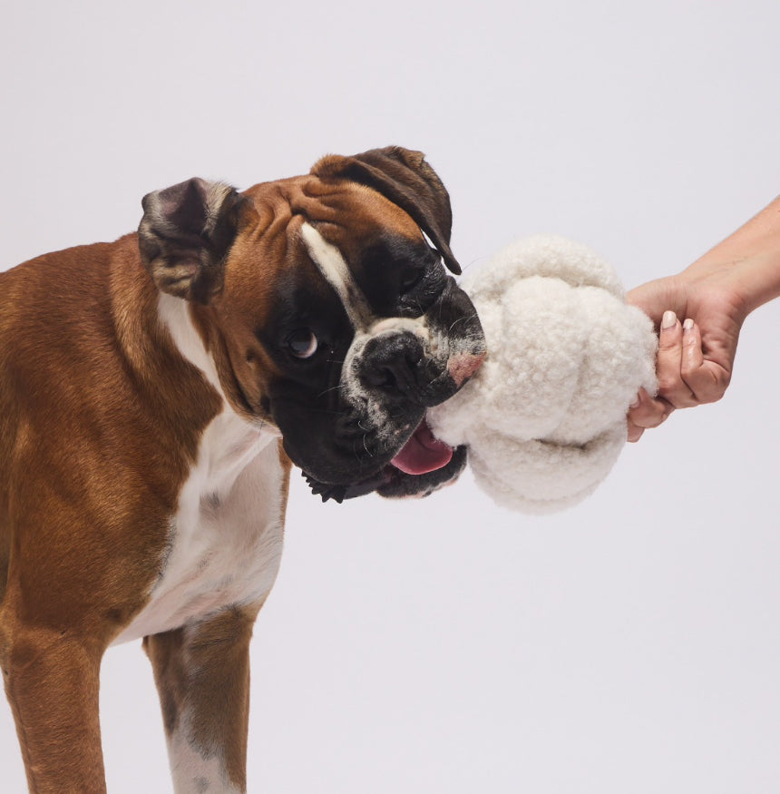 Balle de fouille | Teddy beige