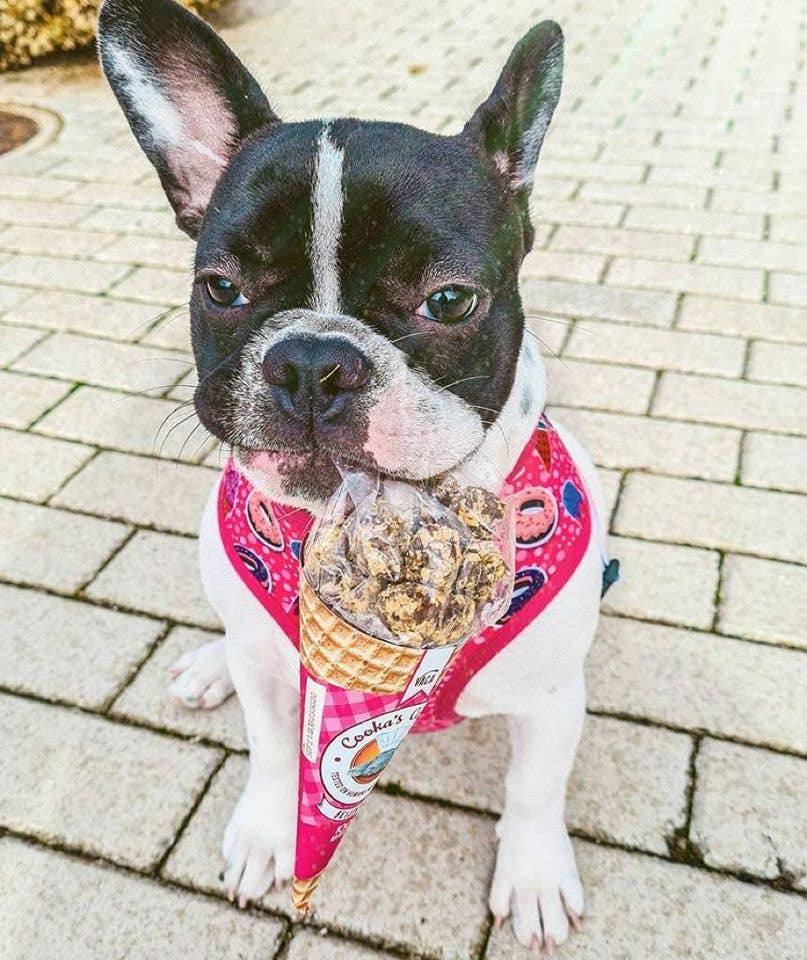 Friandises croquantes et naturelles au bœuf