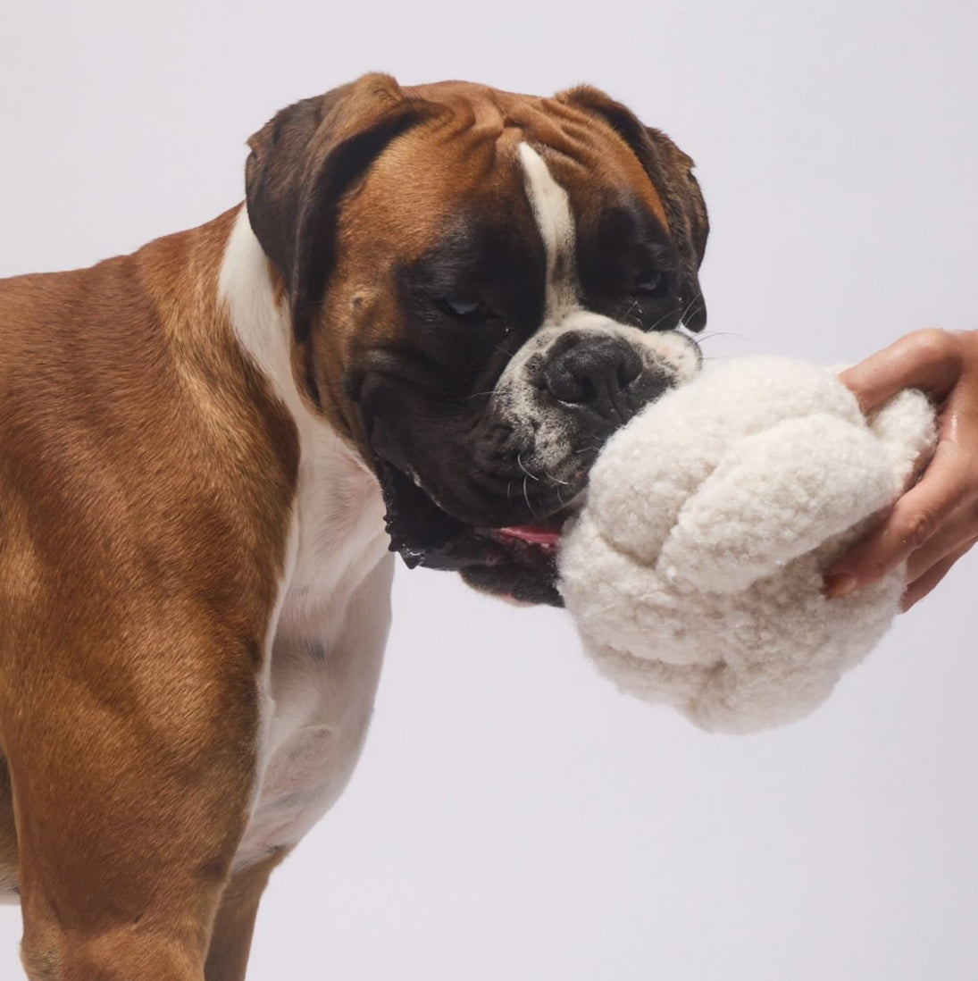 Balle de fouille | Teddy beige