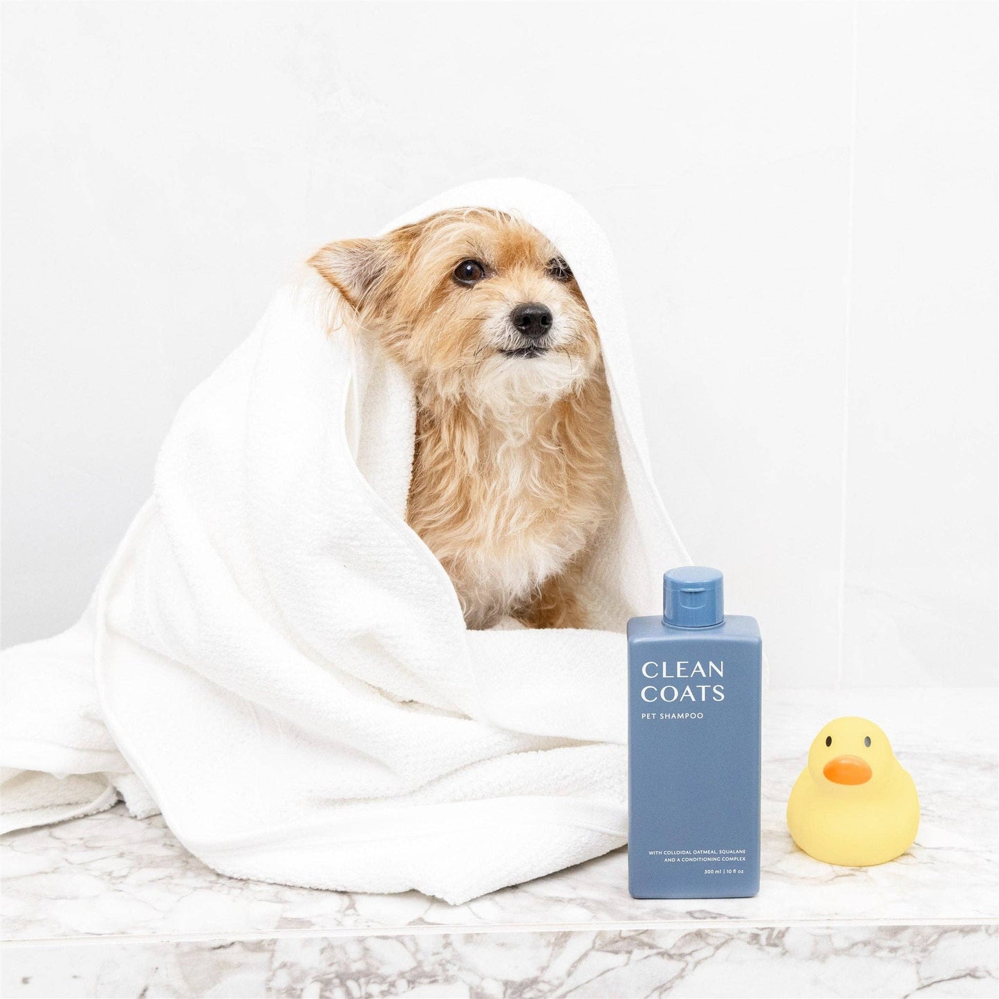 Shampooing | 2 en 1
