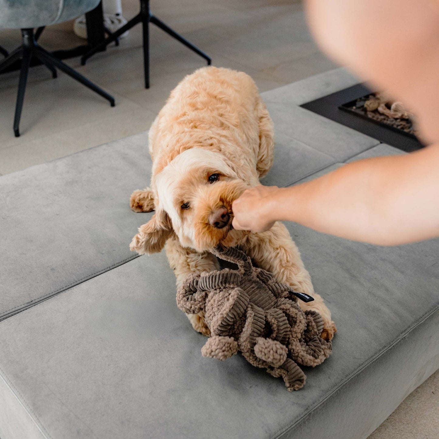 Jouet | Pieuvre taupe
