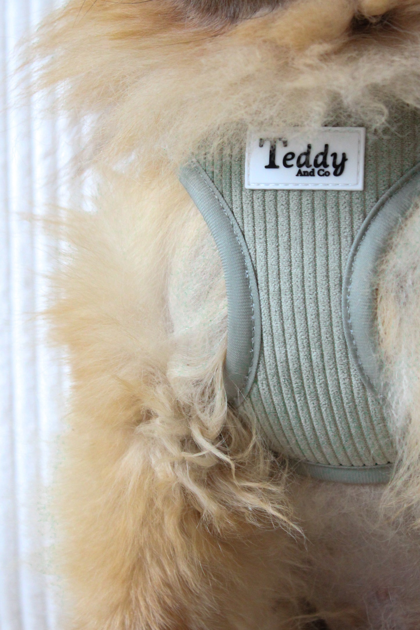 Harnais Easy Fit Kaki┃Tissu Velours cotelé