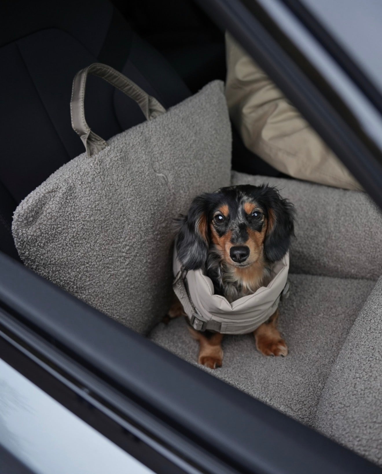 Siège Auto Lara | Teddy