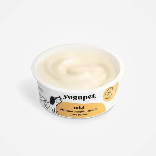 Yaourt | Miel