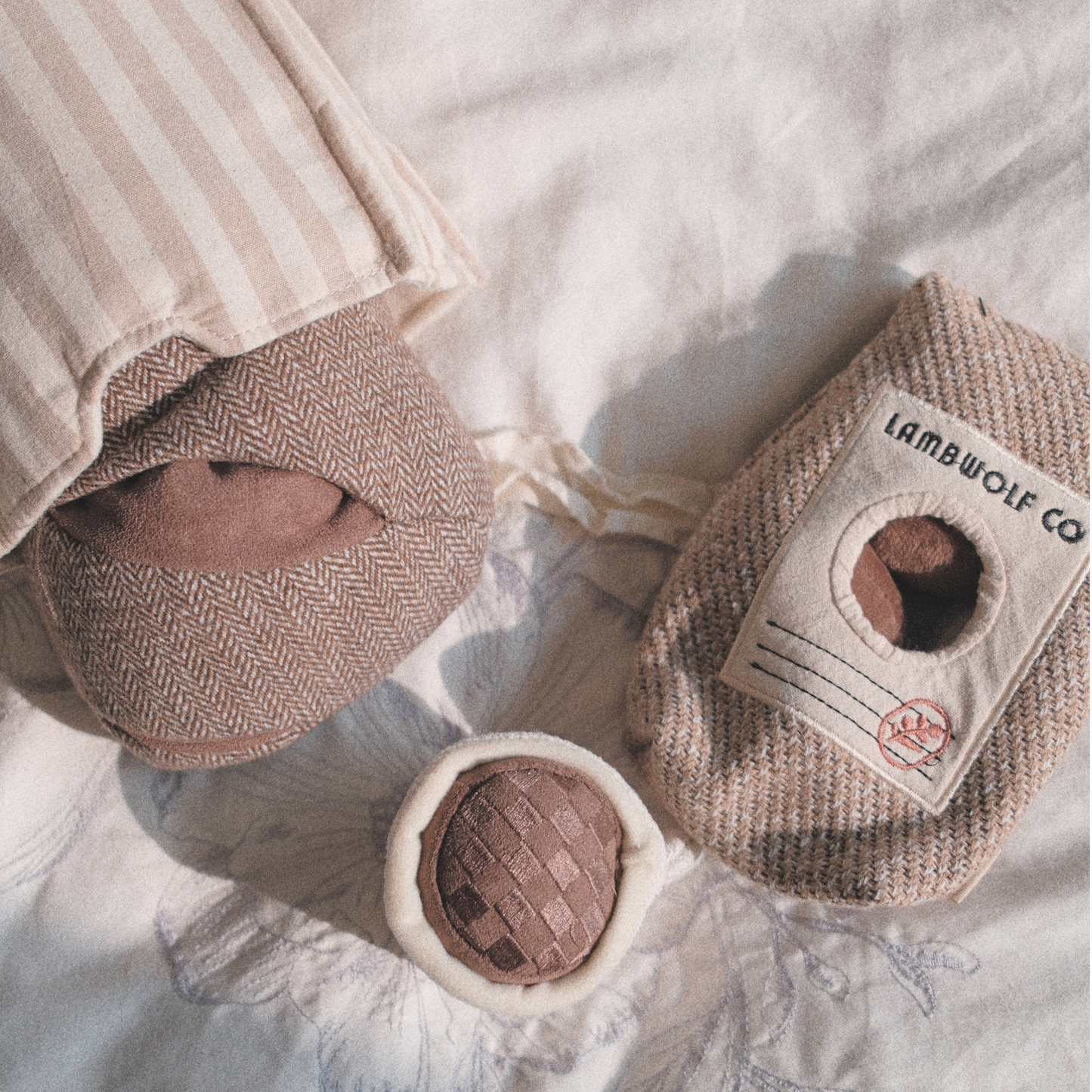 Jouet de fouille | Grains de café