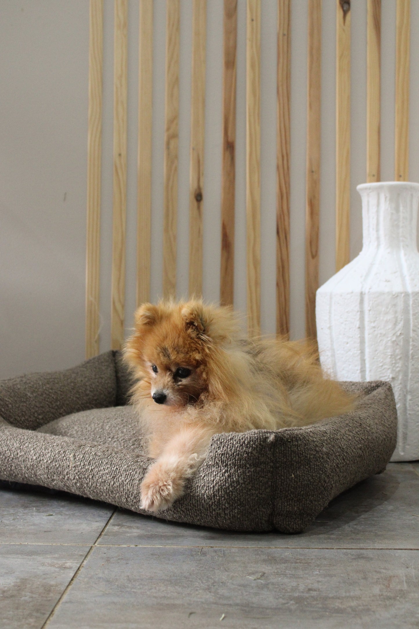 Le Teddy Lounge Coffee┃Tissu Bouclette