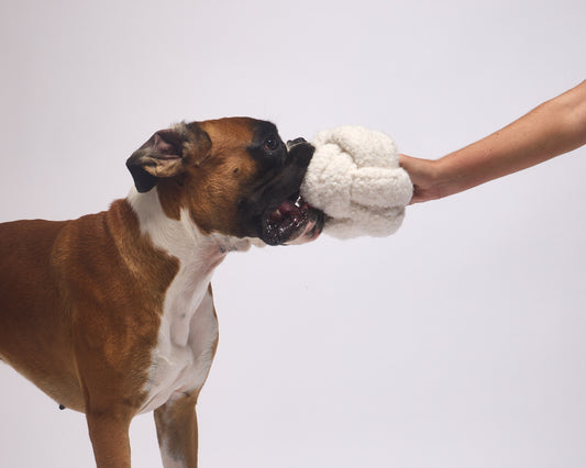 Balle de fouille | Teddy beige