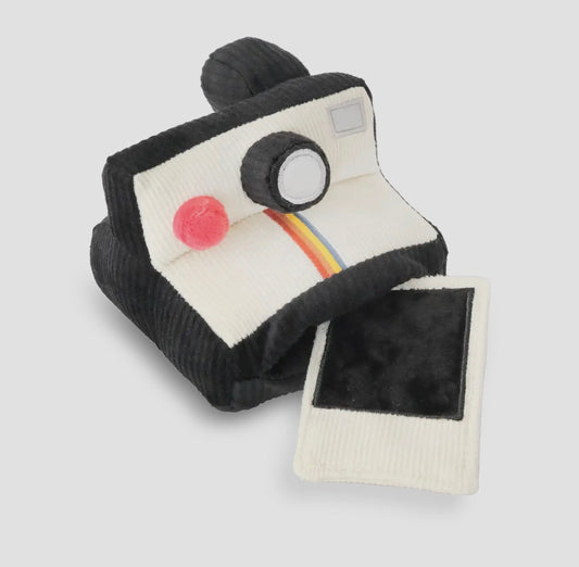 Jouet de fouille | Appareil photo instantané