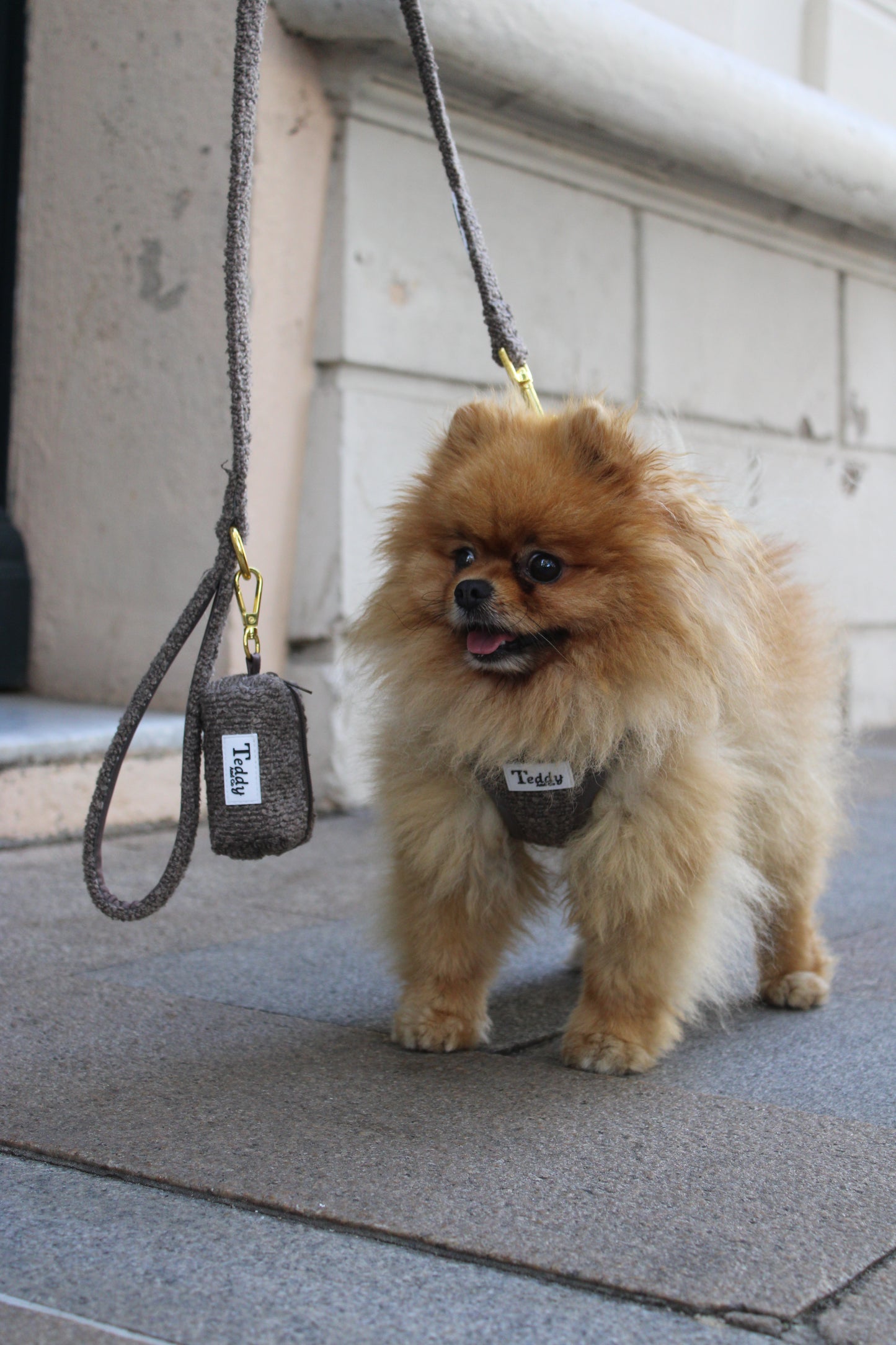 Harnais Easy Fit Coffee┃Tissu Bouclette