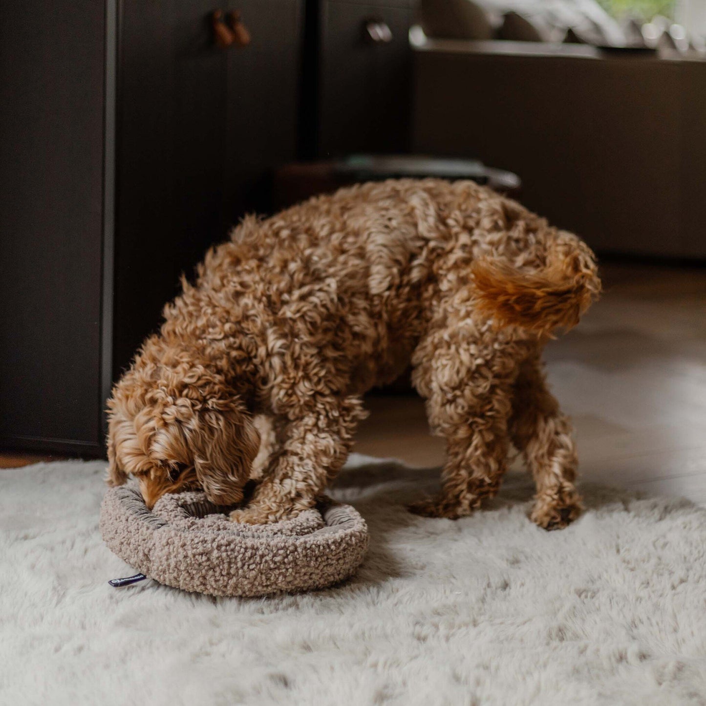 Jouet d'occupation | SWIRL Snuffle Taupe
