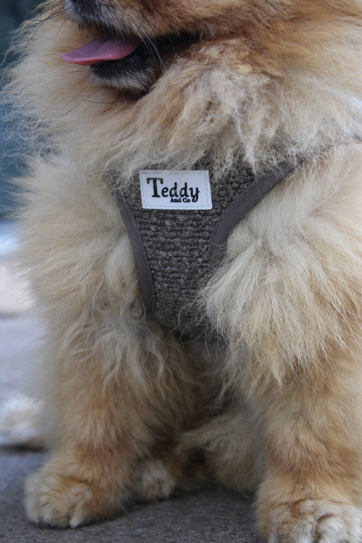 Harnais Easy Fit Coffee┃Tissu Bouclette