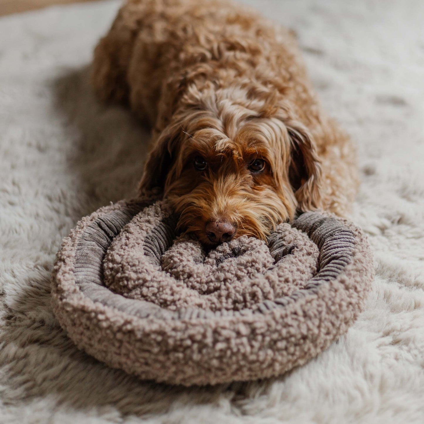 Jouet d'occupation | SWIRL Snuffle Taupe