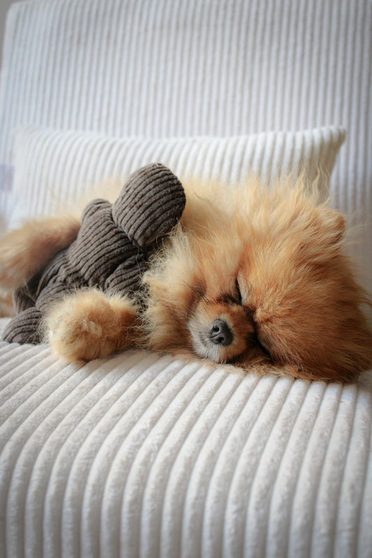 Jouet Pain D’épice | Velours Côtelé