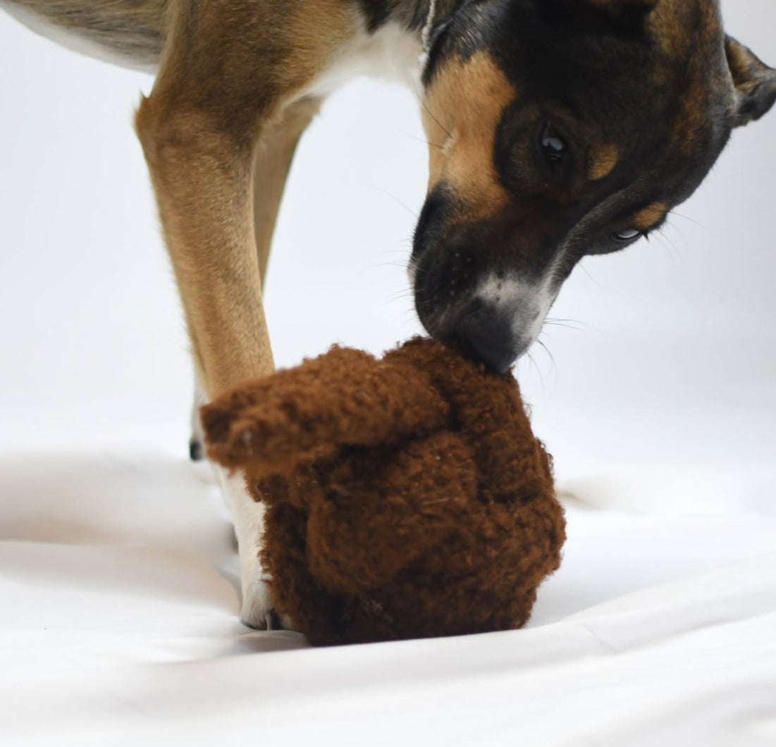 Balle de fouille | Teddy chocolat