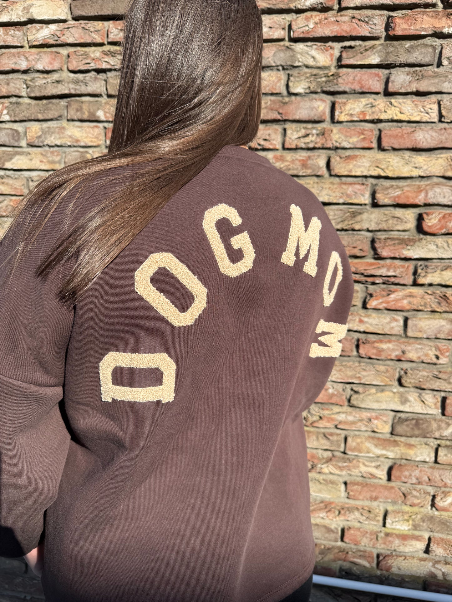 Pull Oversize marron | Dog Mom