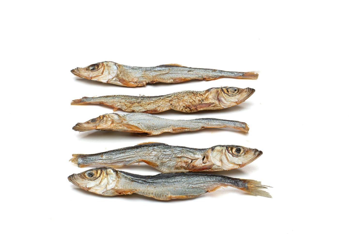 Hareng baltique séché | 80g