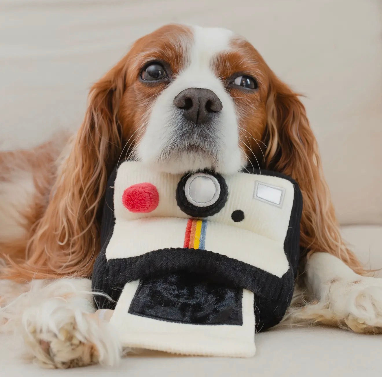 Jouet de fouille | Appareil photo instantané