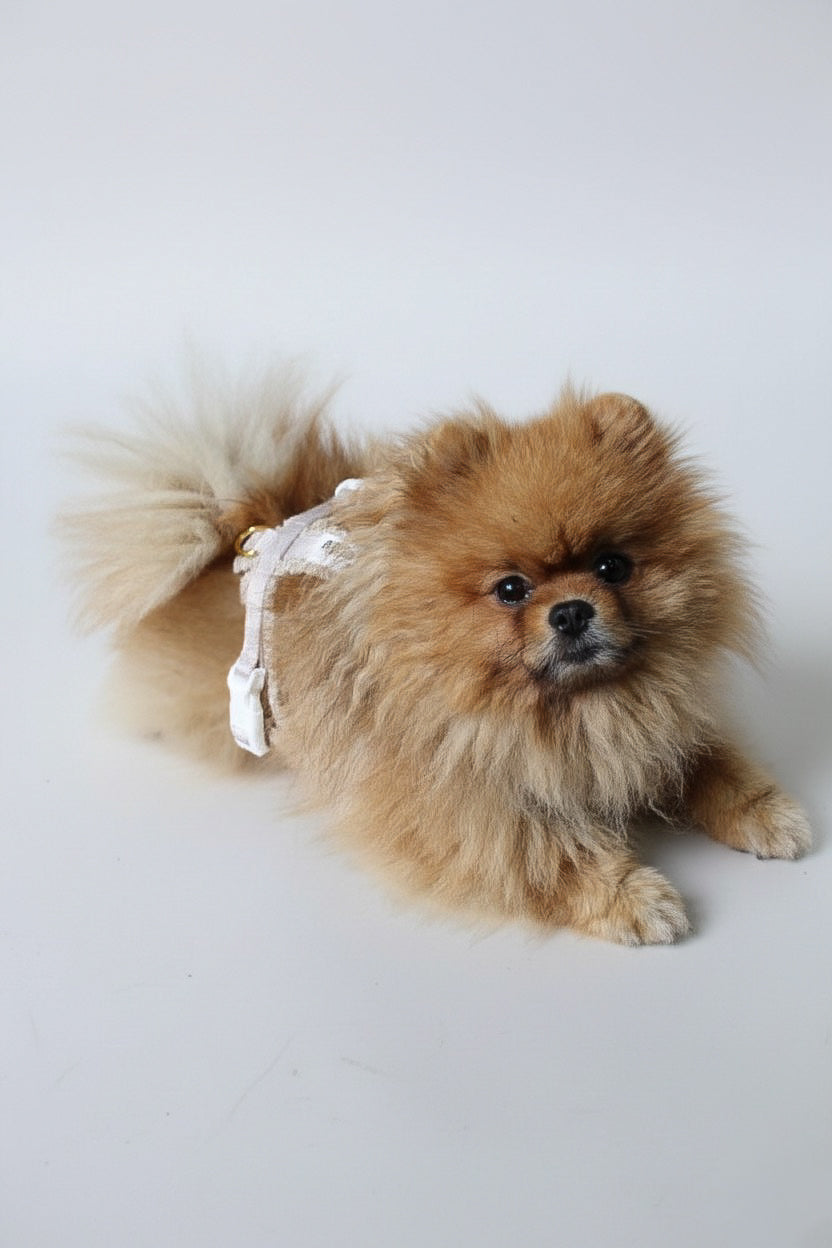 Harnais en Y Nude┃Tissu Bouclette