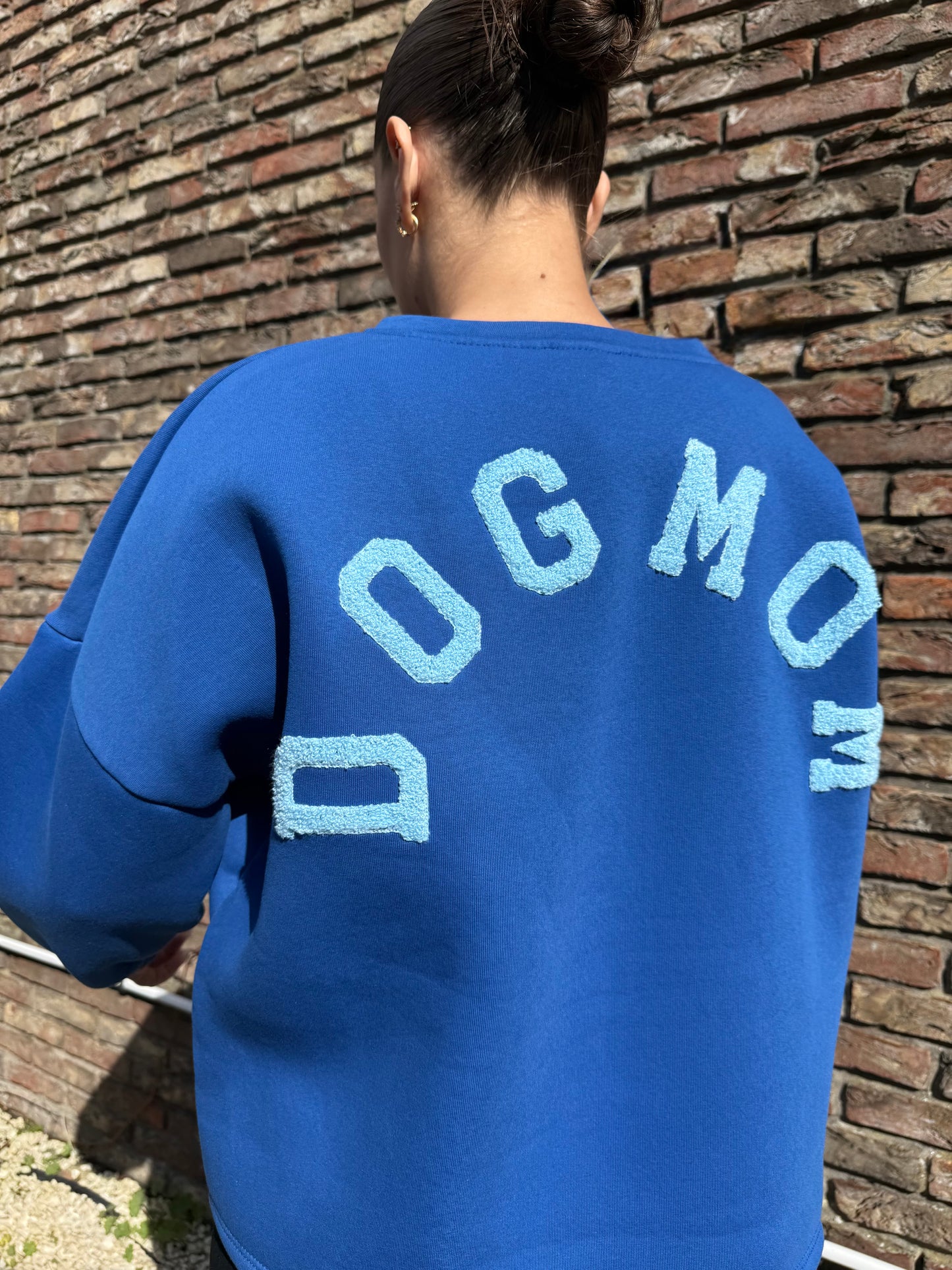 Pull Oversize bleu | Dog Mom