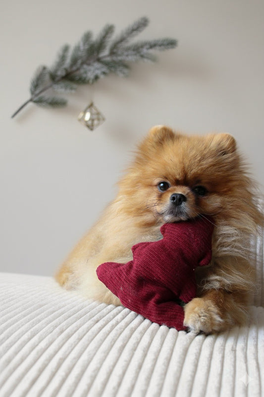 Jouet Sapin Rouge |  Velours Côtelé