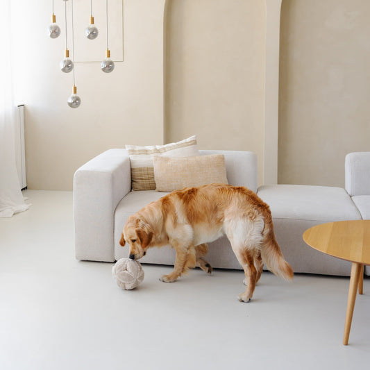 Jouet de fouille | BOBBY Beige