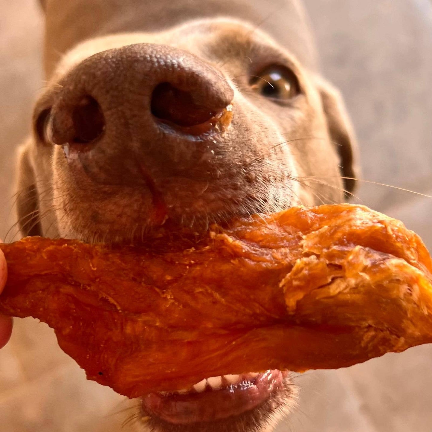 Croustillants de Dinde - Friandises séchées