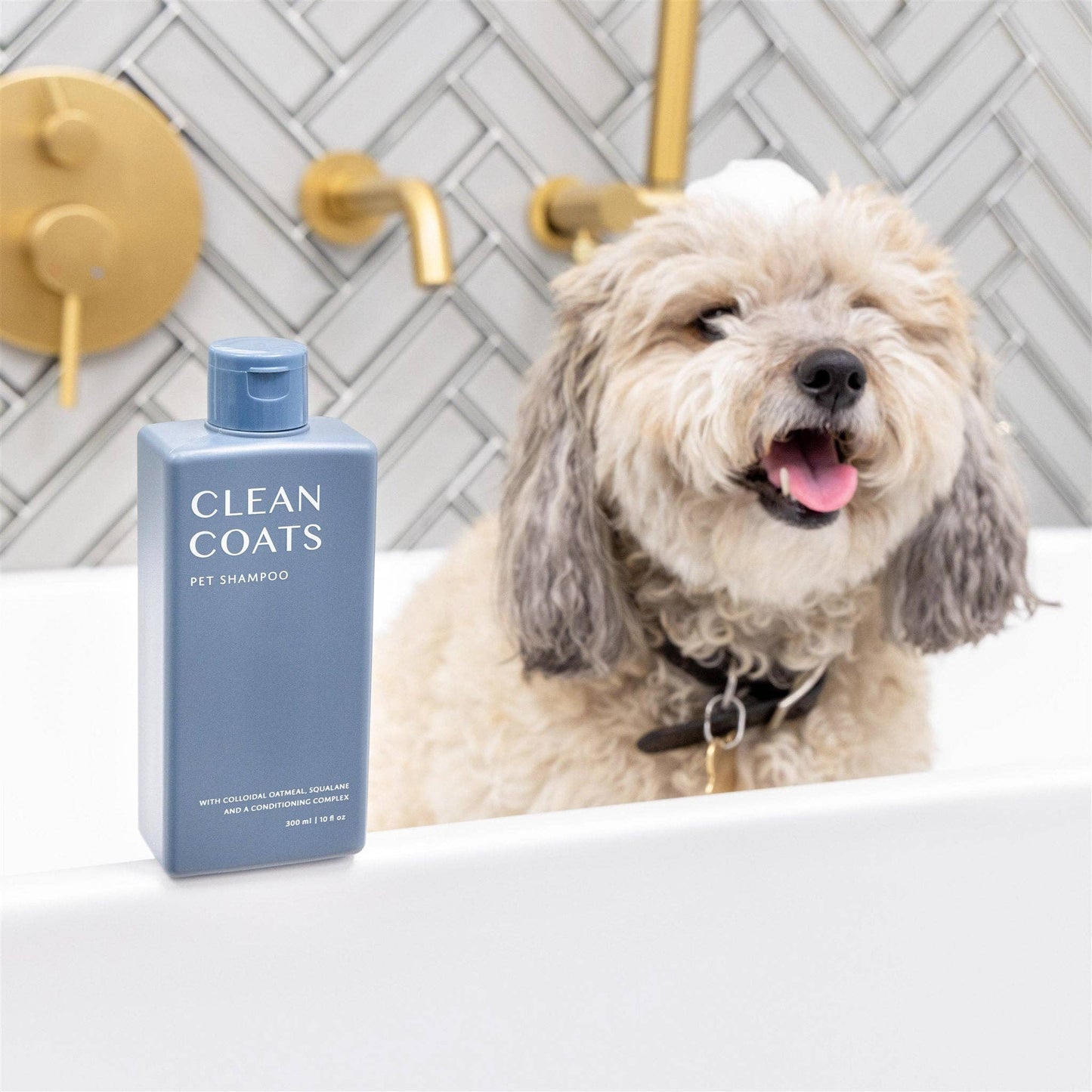 Shampooing | 2 en 1