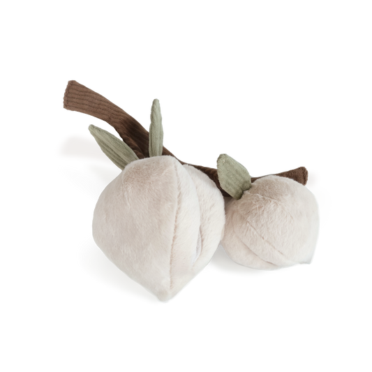 Jouet de fouille | MOMO