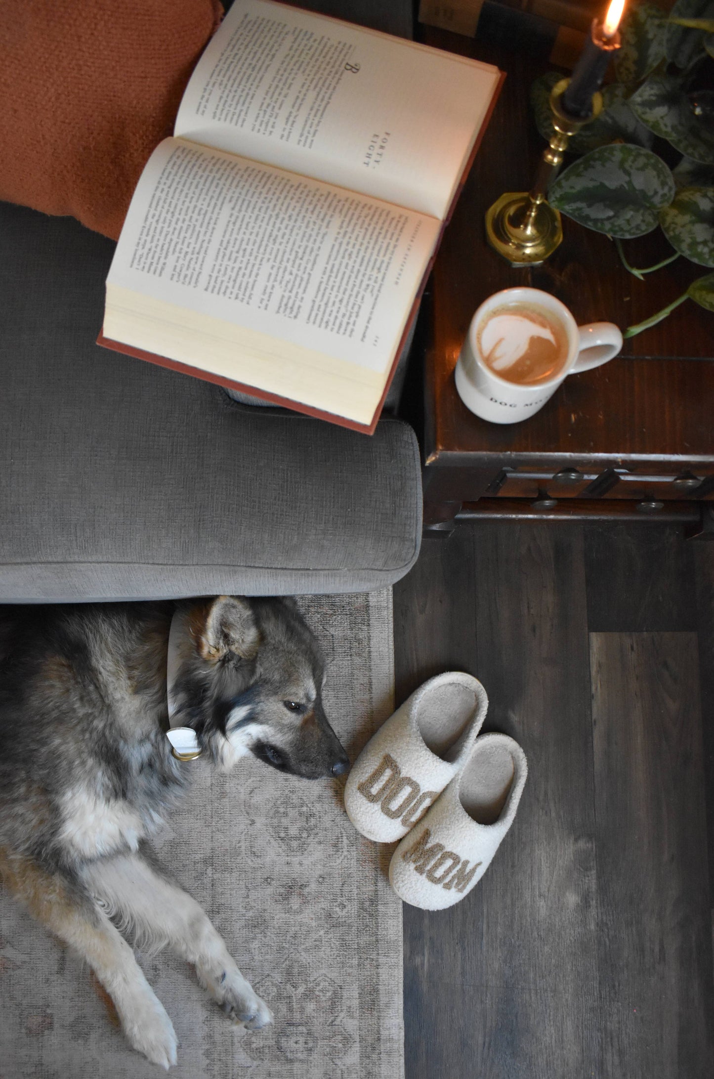 Chaussons Dog Mom
